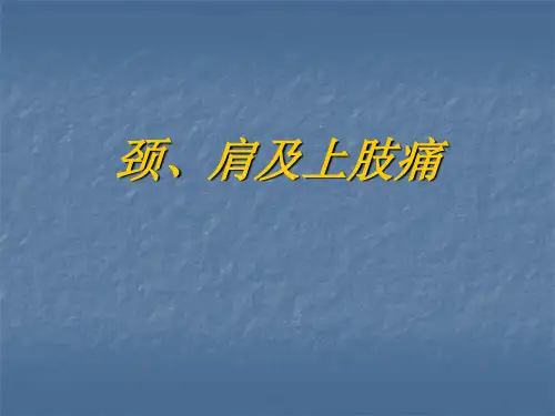 《颈肩及上肢痛》ppt课件