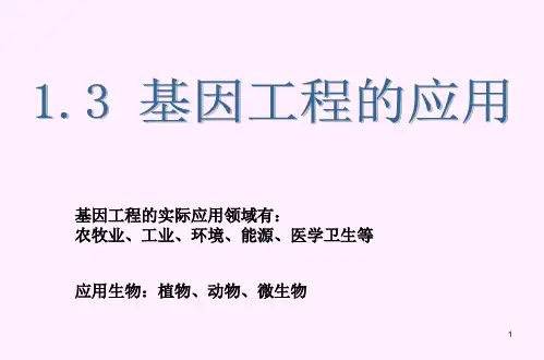 基因工程的应用ppt课件