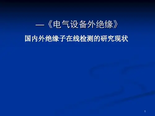 国内外绝缘子在线检测的研究现状ppt课件
