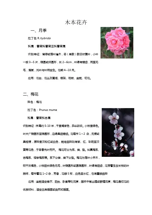 园林常见木本花卉