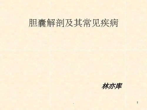 胆囊ppt课件