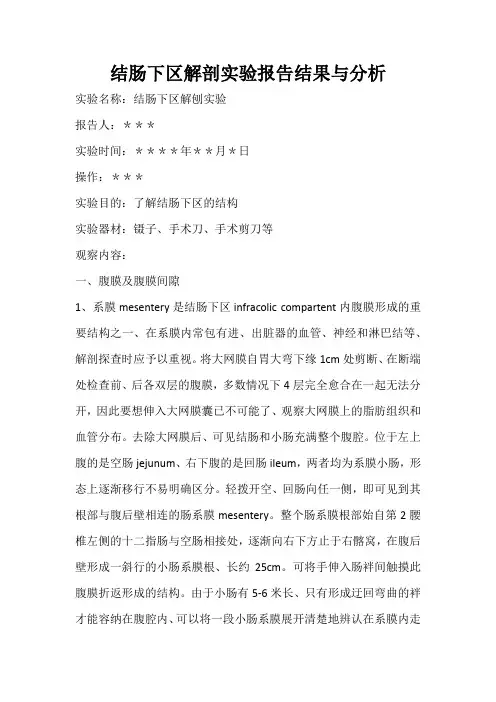 结肠下区解剖实验报告结果与分析