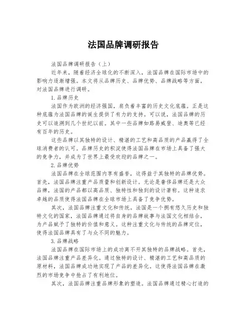 法国品牌调研报告