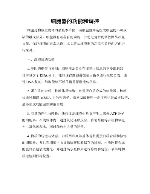 细胞器的功能和调控