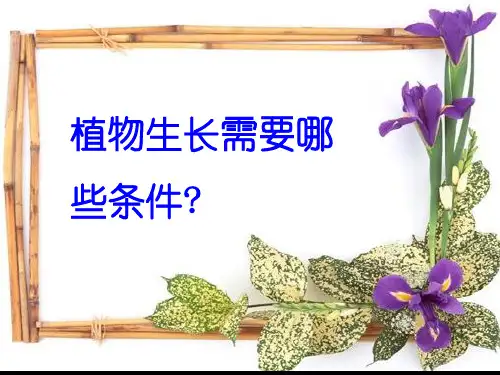 长呀长-一年级美术ppt课件.ppt