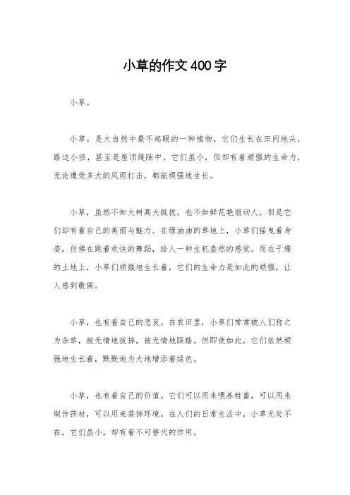 小草的作文400字