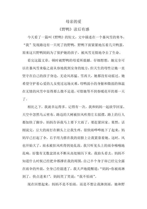 《野鸭》读后感