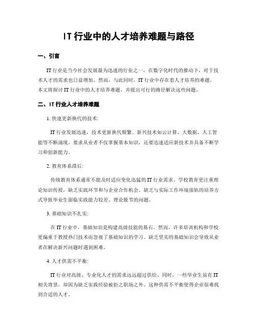 IT行业中的人才培养难题与路径