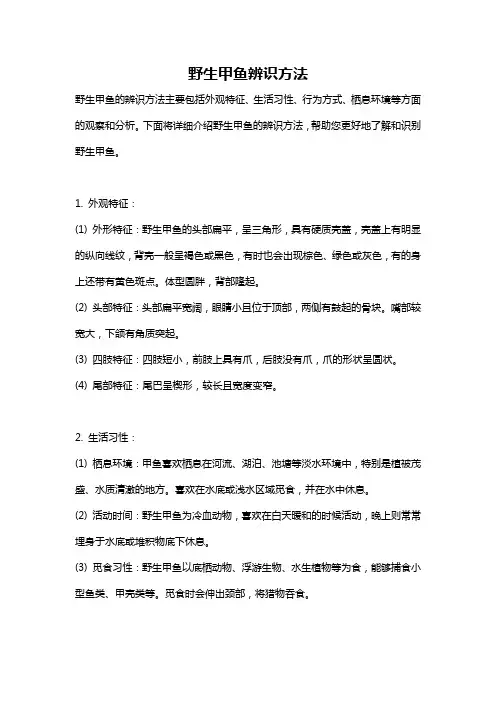 野生甲鱼辨识方法