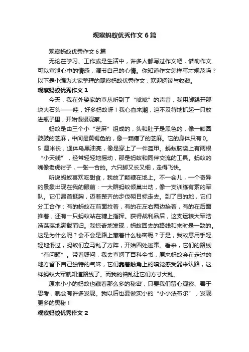 观察蚂蚁优秀作文6篇