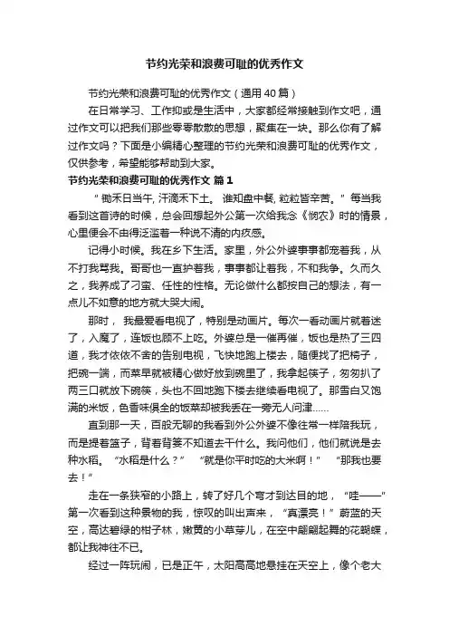 节约光荣和浪费可耻的优秀作文