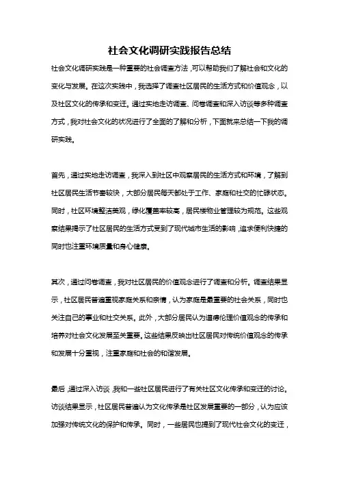 社会文化调研实践报告总结