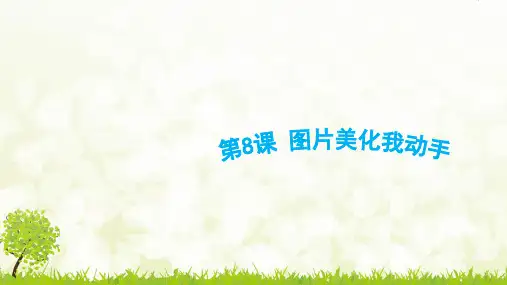 青岛版小学四年级下册信息技术《图片美化我动手》精品课件