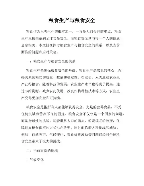 粮食生产与粮食安全
