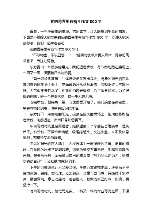 我的青春里有奋斗作文800字