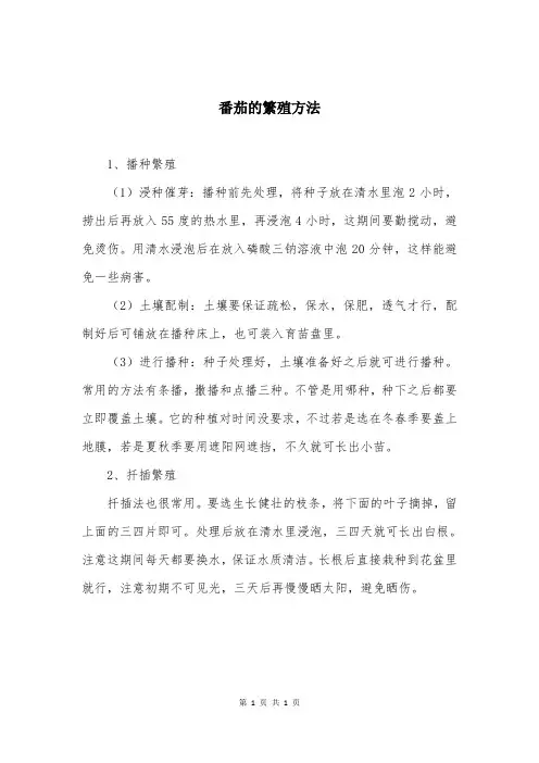 番茄的繁殖方法