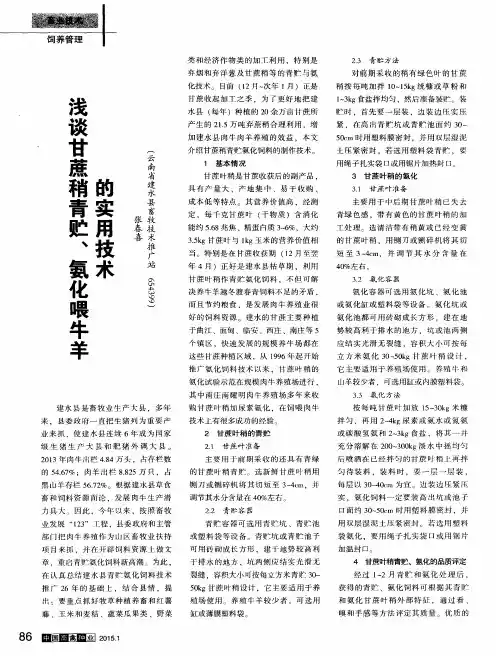 浅谈甘蔗稍青贮、氨化喂牛羊的实用技术