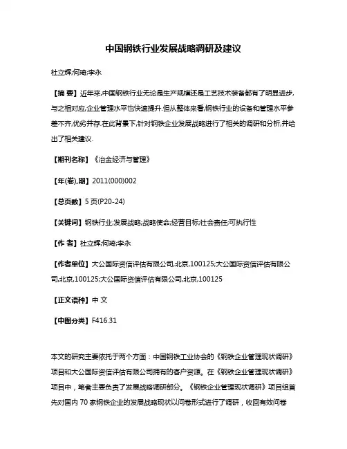 中国钢铁行业发展战略调研及建议