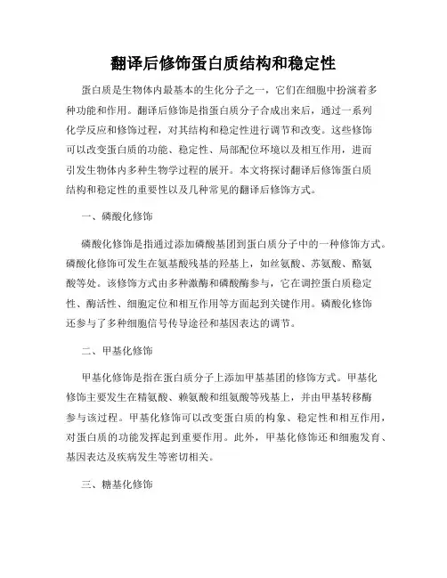 翻译后修饰蛋白质结构和稳定性