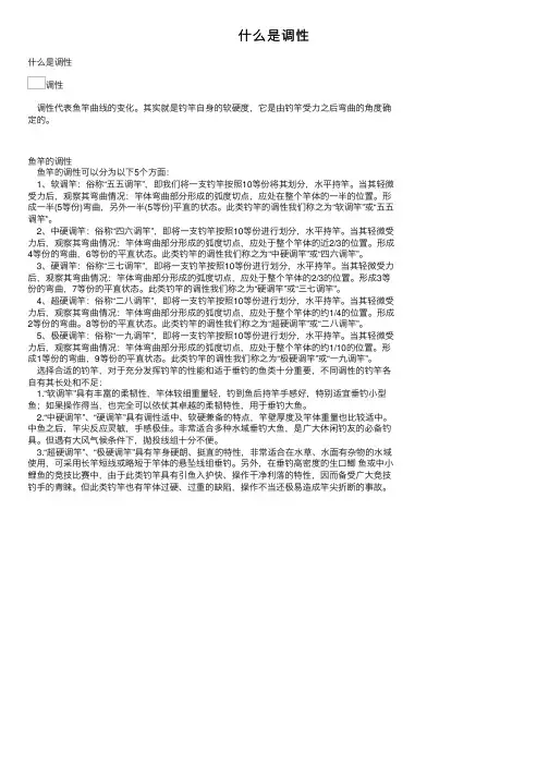 什么是调性——精选推荐