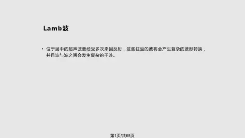 管道超声导波检验PPT课件