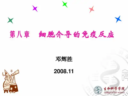 08细胞介导的免疫反应