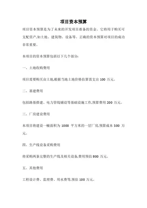 项目资本预算