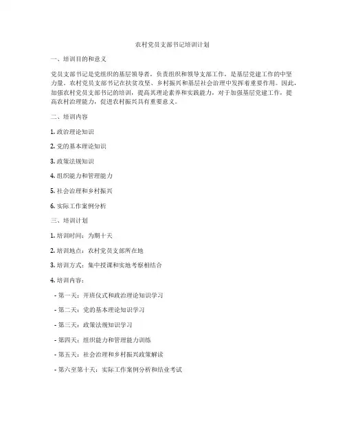 农村党员支部书记培训计划