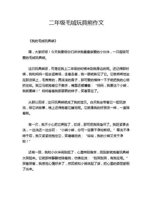 二年级毛绒玩具熊作文