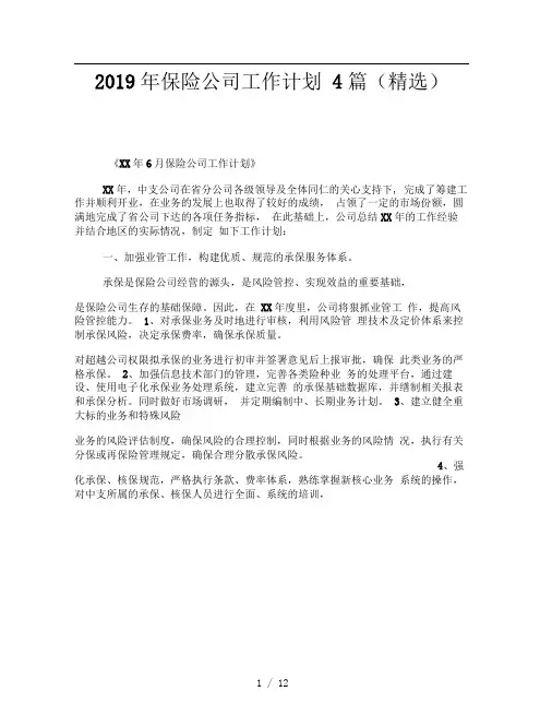 2019年保险公司工作计划4篇精选