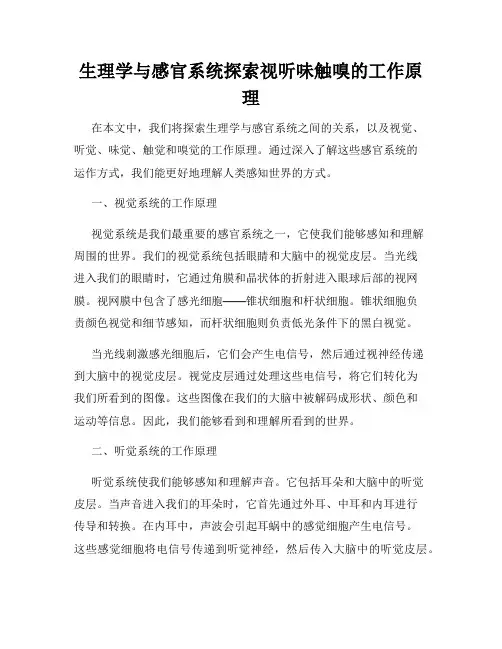 生理学与感官系统探索视听味触嗅的工作原理