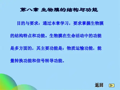 生物膜的结构和功能(共34张PPT)