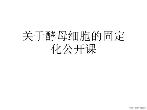 酵母细胞的固定化公开课课件