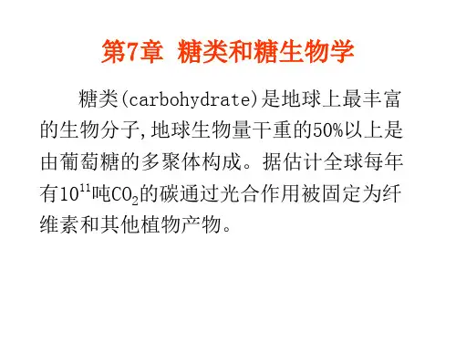 第7章 糖类和糖类生物学