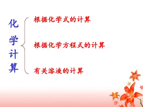 初中化学计算题PPT课件