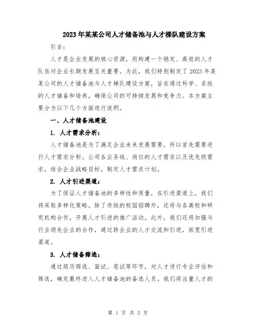 2023年某某公司人才储备池与人才梯队建设方案