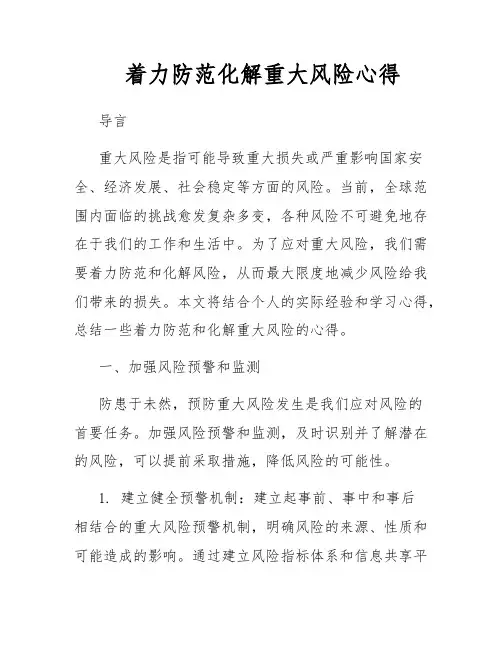 着力防范化解重大风险心得