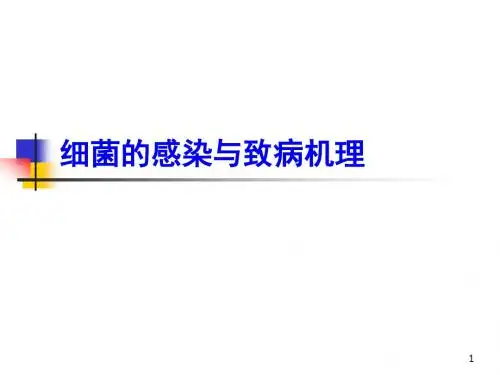 细菌的感染与致病机理