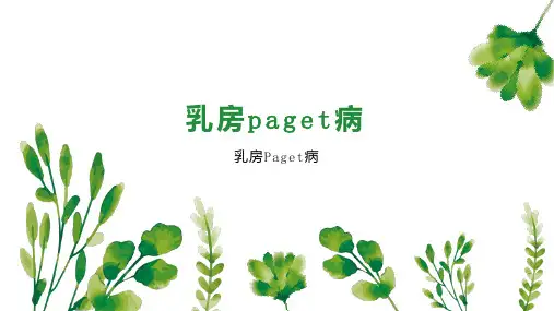 乳房paget病