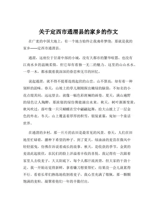 关于定西市通渭县的家乡的作文