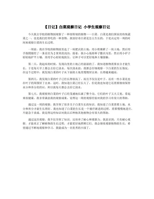 【日记】白菜观察日记 小学生观察日记