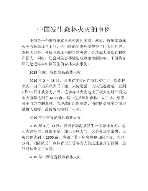 中国发生森林火灾的事例
