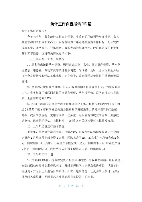 统计工作自查报告15篇