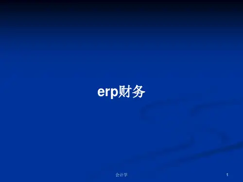 erp财务PPT学习教案