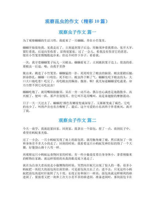 观察昆虫的作文(精彩10篇)