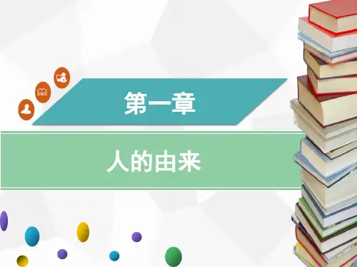 人教版版七年级下册生物 第一章 第二节  人的生殖课件