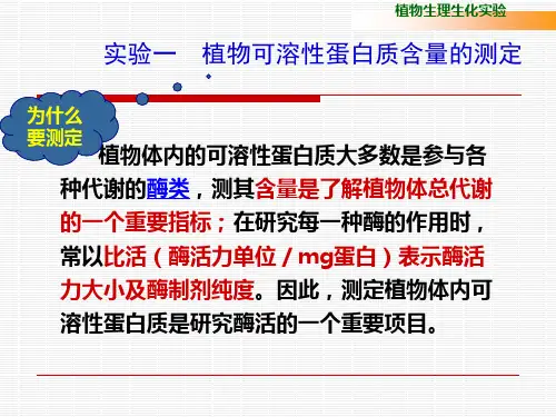 植物生理生化实验--蛋白质