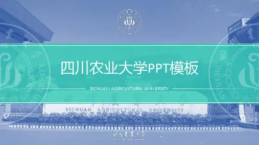四川农业大学介绍PPT模板