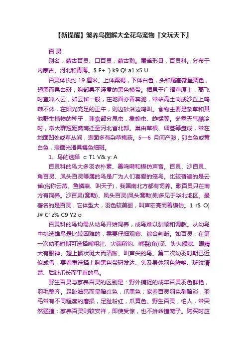 【新提醒】笼养鸟图解大全花鸟宠物『文玩天下』
