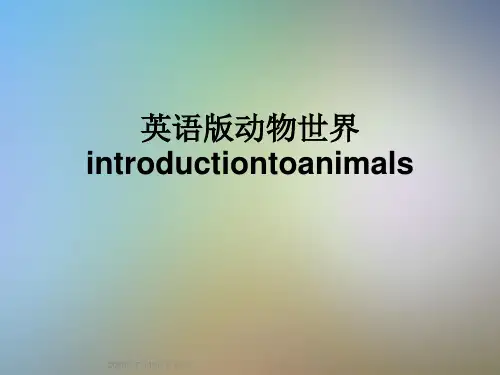 英语版动物世界introductiontoanimals